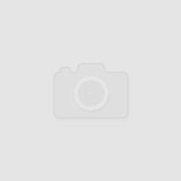 Художественный руководитель