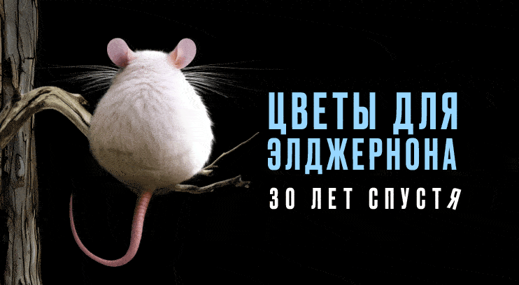 Цветы для Элджернона. 30 лет спустя